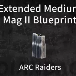 Extended Medium Mag II Blueprint